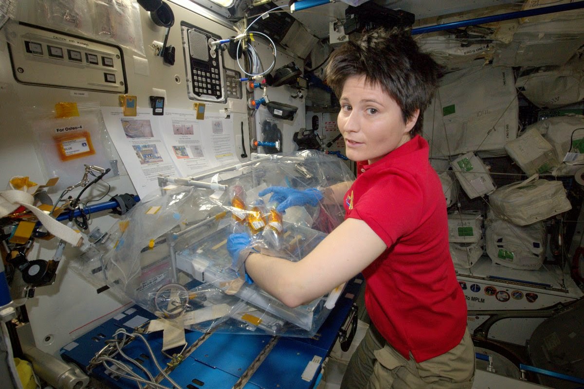 L+149: Die BRICs entspannen sich bei -98°C